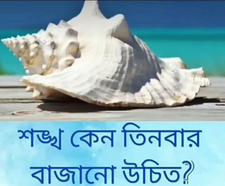 Conch shells should be blown three times